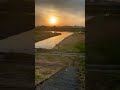 iri-染