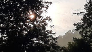 DOING NOTHING SPECIAL TODAY COME JOIN ME