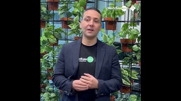 First look at the new WorkflowMax by BlueRock Job Manager