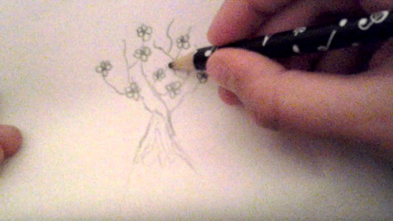 How to draw a cherry blossom tree - YouTube