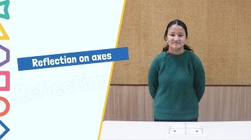 Finding The Coordinates Of The Image Of A Point After Reflection In The X Axis |Grade 8 | IWS