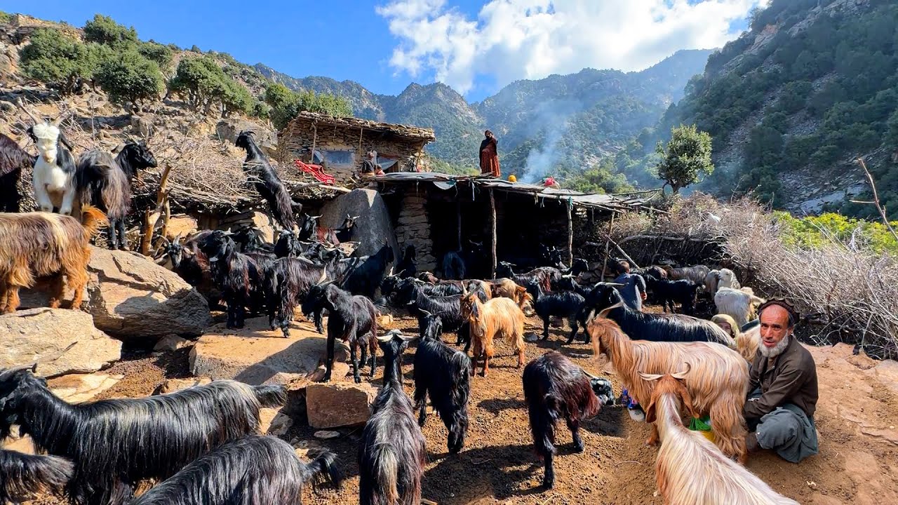 How do People Live in Afghan Mountain Villages? Among the Sheep and the Large Rocks 🐏🏡
