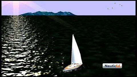 High Seas Drama - Man Overboard