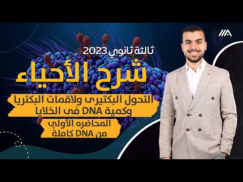 فيديو: 