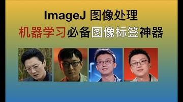 『超实用』ImageJ图像处理 - 机器学习图像分类必备标签神器Qualitative Annotations