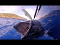 Epic Deep Sea Tuna Fishing!!! {Catch Clean Cook} Kinsington Saipan / Northern Mariana Islands