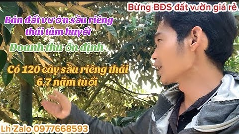 gia đình hông có thời gian chăm sóc cần chuyển nhượng lại mảnh đất nhà vườn trái cây tâm huyết 