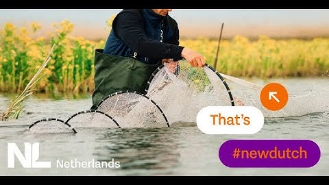 New Dutch Campaign video