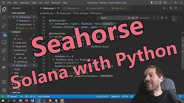 Writing Solana Programs in Python [Seahorse Tutorial] - Aug 31st 