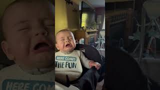 Boy’s Disapproving Reaction to Rottweiler’s Howl