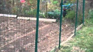 Garden Update