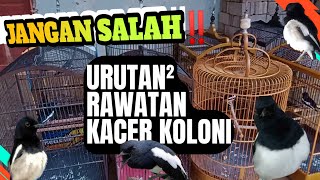 CORRECT TREATMENT PATTERN - COLONIAL DILUTION