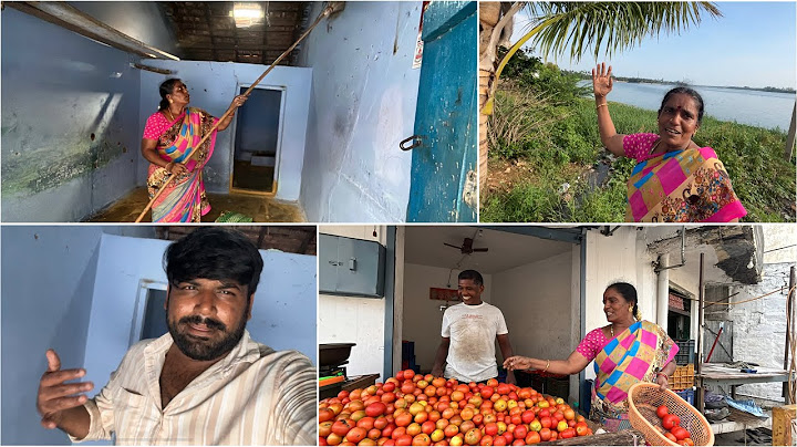வாடகை வீட்டை சுத்தம் பண்ண களத்துல இறங்கிட்டோம்