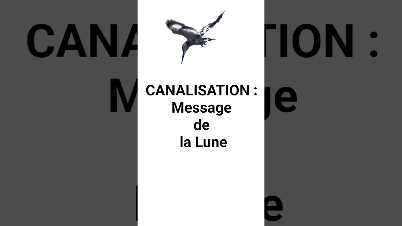 Canalisation : Message de la Lune 