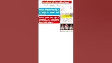 Sample Depth in Audio signals | Sample Depth | What is Sample Depth in Audio signals