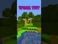 Last one is INSANE😱 - Minecraft TNT (World's Smallest Violin) Part 47 #shorts thumbnail