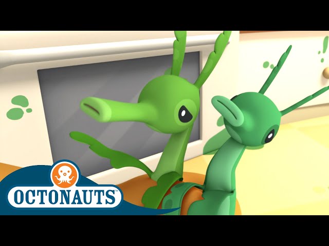 Octonauts - The Leafy Sea Dragons | Cartoons for Kids | Underwater Sea Education class=