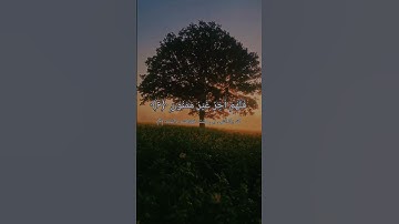 تلاوت زیبا قاري ماهر المعيقلي سورة تین  Maher Al-Muaigli surah Teen موثر في قلوب #تلاوت_قران #maher