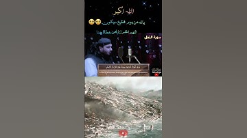 وترى الجبال تحسبها جامدة وهى تمر مر السحاب | القارئ آصف آغا