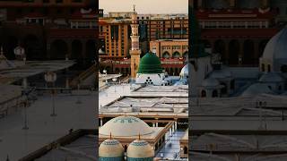 Muhammad(ﷺ)is the Leader of the World 🌍 no one can be equal to him 🕊️❤️#ProphetMuhammad #@Hadi_jan08