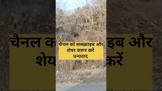 #trendingshorts #trendingmotivationalshorts #viralreels #viralmotivationalquotes #trending #viral