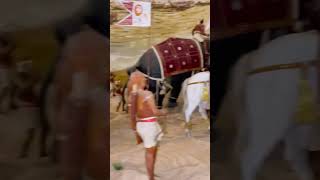 Invasion Of King Parakramabahu - Trincomalee Naval & Maritime Museum