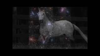 My Intro Videoclip We only play the Best Wir spielen nur das Beste