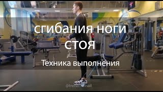 Сгибание ноги стоя с резинкой - техника выполнения