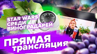 ПРЯМАЯ ТРАНСЛЯЦИЯ. Разговариваем о рассаде, садовых растениях, отвечаем на вопросы