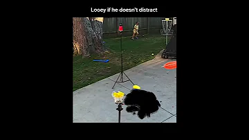 Original By ThatsAmazing Here S The Link Https Youtu Be X RZ5z01Fls 