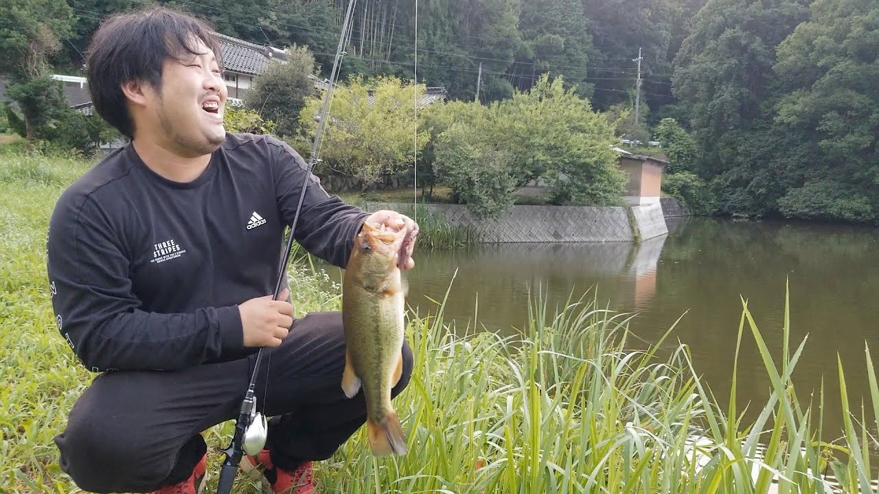 岡山 野池 バス 釣り