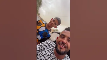 دقلة سلعة زينة 