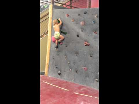 21 Month Old Baby Rock Climbing and Loving it!