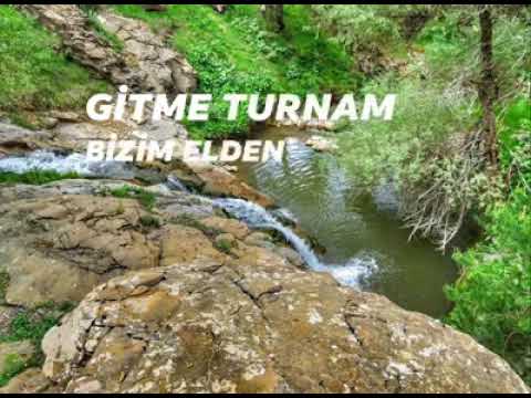 Mustafa Yıldızdoğan gitme turnam