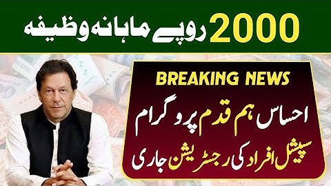 Hamqadam program registration 2023 | punjab ehsaas program | 8123