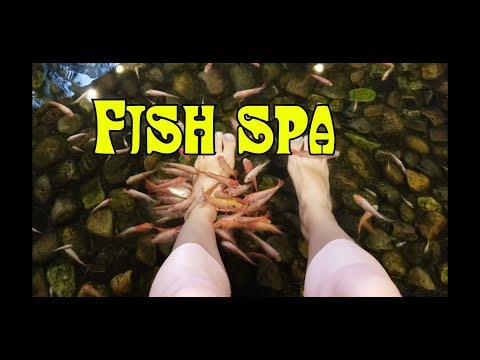 Sanya South China hotel. БЕСПЛАТНЫЙ пилинг рыбками Fish spa pedicure. Где погулять в Дадунхае