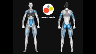 Cable crossover reverse fly \ assetbook