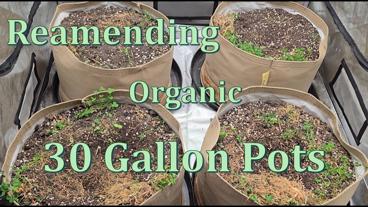 How I Reamend my 30 Gallon Organic Pots