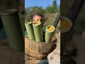 OLD PAPER SHELLS #shotgun #shooting #gun #asmr #usa #range #buckshot #benelli #m4