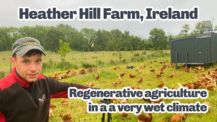 Regenerative Agriculture in Ireland, Heather Hill ...
