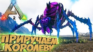 картинка: Приручаем КОРОЛЕВУ ПАУКОВ - ARK Survival Evolved Аннунаки на Ragnarok #40