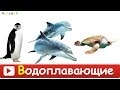 [ МОРСКИЕ ЖИВОТНЫЕ для ДЕТЕЙ ] с ГОЛОСАМИ. Развивающие ВИДЕО про морских животных для детей в HD