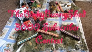 TheBinkyBunnyShed 3000 Subscriber Contest **CLOSED