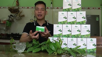 Trà Túi Lọc Xạ Đen - Thưởng Trà Phòng Ngừa Ung Thư 0976 836 586