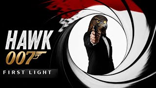 The Names Wilder, Hawk Wilder |007 First Light|