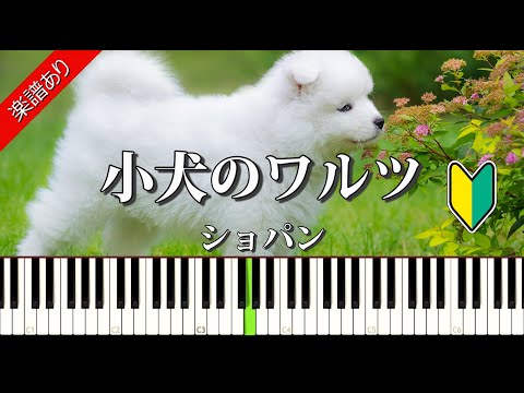 子犬のワルツ (Op.64-1) - ショパン