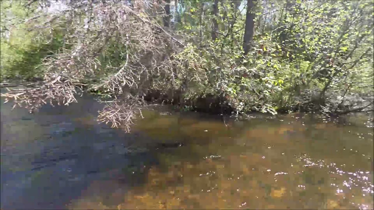 В ВЕРХ ПО ХАИМУ НА ВОДОМЁТЕ.