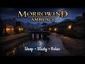 Morrowind Night Ambience - Rain &amp; Music in Balmora (12 Hours)
