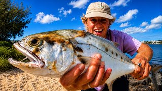 We Found INSANE Topwater Fishing in Noosa… (Land Based)