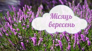 картинка: Місяць вересень